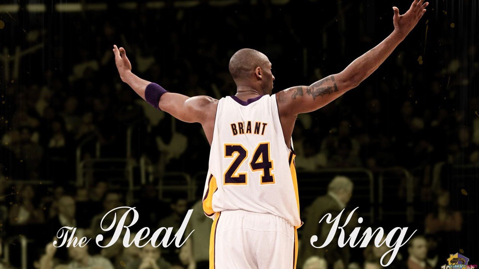 陈佳坚持与努力成就今天，这就是坚持与努力的结果