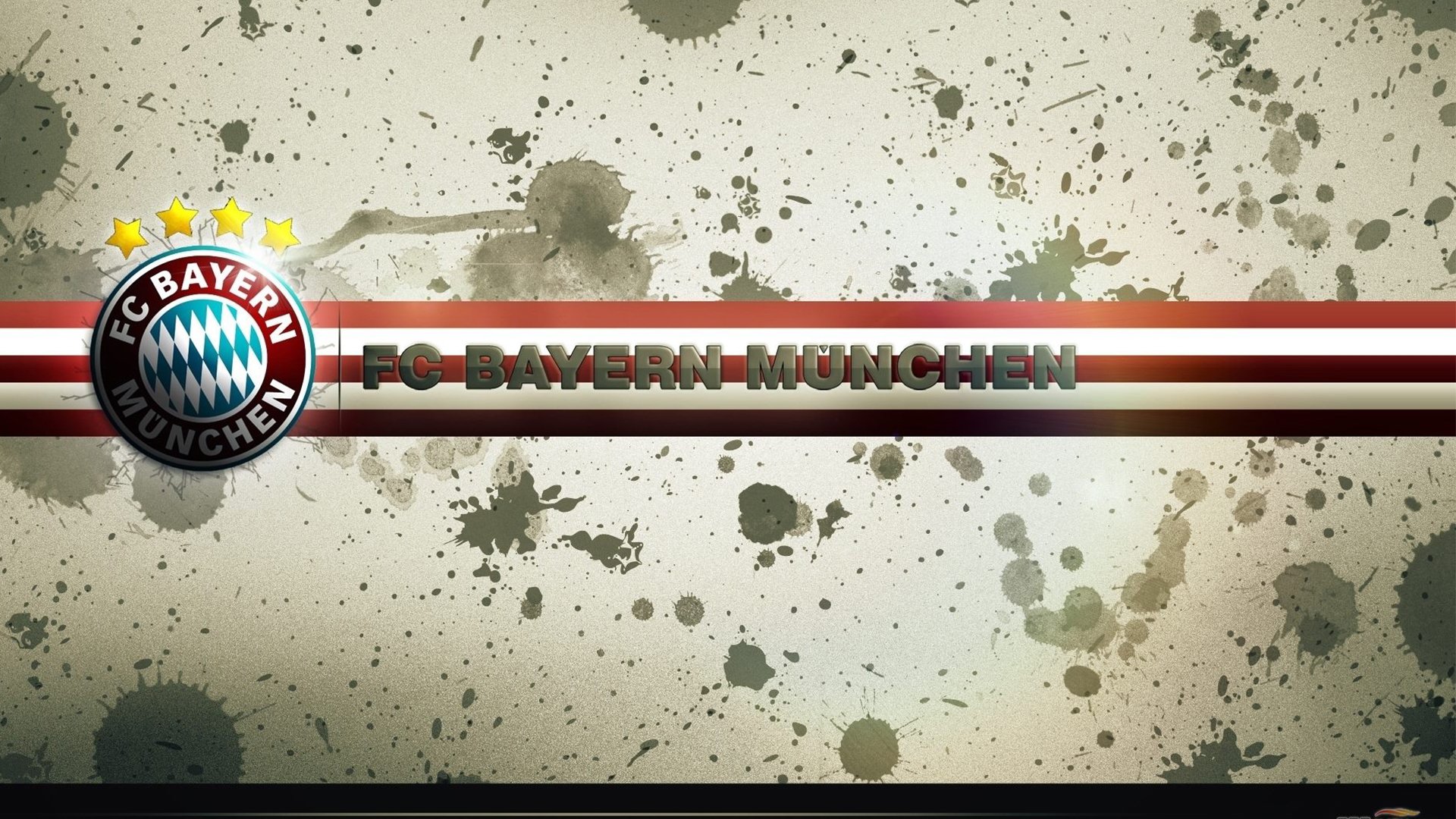 体育新闻中心记录青少年体育成果展示活动的报道，体育竞赛新闻